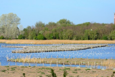 December 17-én napfelkelte túrát, 31-én óévi túrát rendeznek a Sóstón  